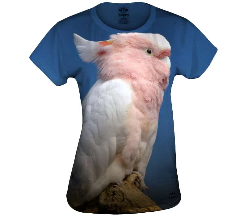  Contemporary Perched Pink Parrot