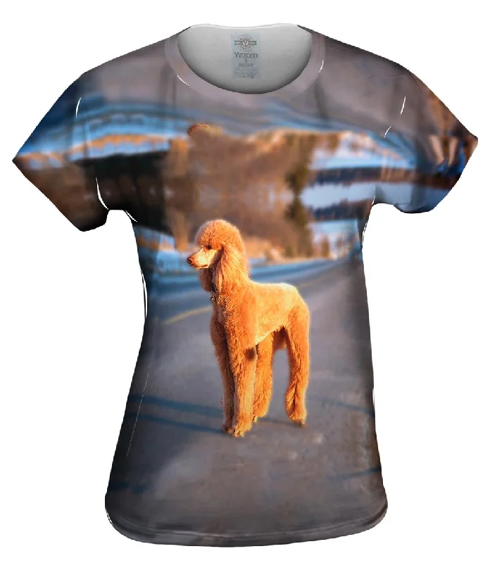  Cool Women's SkateDusty Poodle